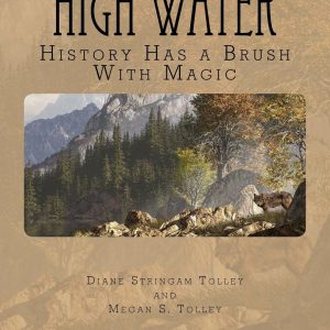 High Water: History with a Hint of Magic! (Paperback)