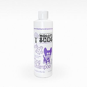 Molly's Suds Dog Shampoo - 16 fl oz
